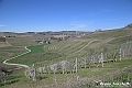 VBS_8886- Risvegli
